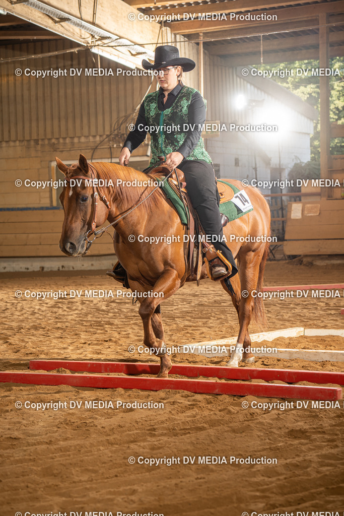 NID02587 | dv-media-shop - Realisiert mit Pictrs.com