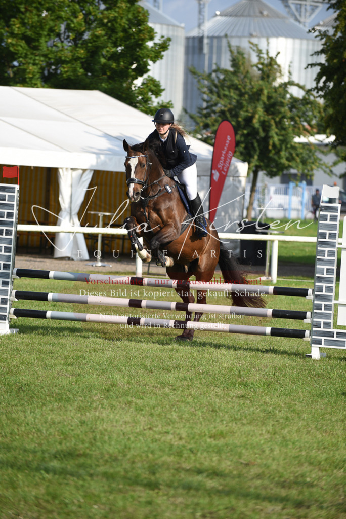 DSC_8630 | Pferde- und Turnierfotografie in Westsachsen. Pferdeportraits, Auftragszeichnungen und intuitive Kunst.