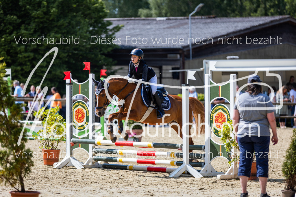 Donop24-SprRW-043 | MomenTaufnahmen Pferdesportfotos