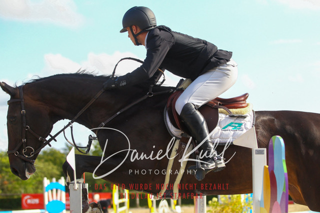 DKP43895 | Turniersportfotografie; Pferdefotografie; Dressurfotografie