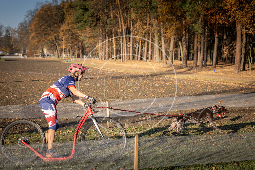 CaniXpix_DV3A1332 | Hundefotografie, Tierfotograf, Pfotenfotografie, Fotoshooting Hund, Hunde Portrait, Hundesport, Hundeportraits, Heideshooting, Hunde, Sportfotograf, Hundefotograf, Turnierhundsport, THS,  - Realisiert mit Pictrs.com