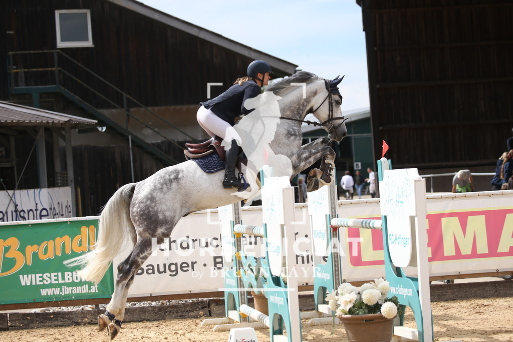 DL2Q3151 | Willkommen bei Brunnmayr - Design & Fotografie – Ihrem Spezialisten für Reitturniere und Pferdeveranstaltungen in Oberösterreich, Salzburg und Bayern! Seit über 17 Jahren sind wir leidenschaftlich dabei.