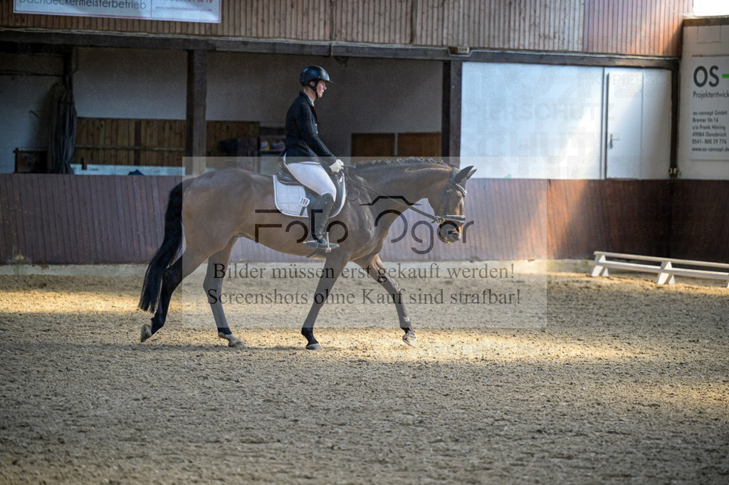 Reitturnier Voxtrup | Entdecke hochwertige Reitturnierfotos von Foto Oger. Professionell, emotional und authentisch – jetzt Lieblingsmomente im Shop bestellen.Deutschlandweite Turnierfotografie. - Realisiert mit Pictrs.com