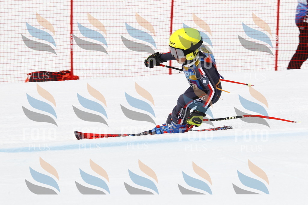 _U3G6304 | holidayphoto