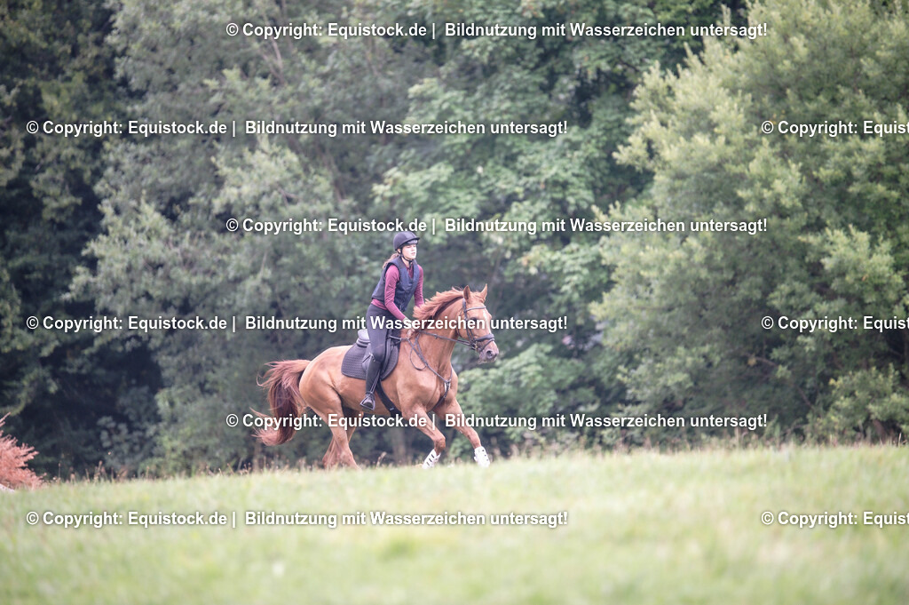 20250726_Vielseitigkeitslehrgang-Marbach_0290 | Foto: Thomas Hartig