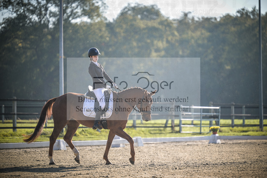 DOS_0825 | Entdecke hochwertige Reitturnierfotos von Foto Oger. Professionell, emotional und authentisch – jetzt Lieblingsmomente im Shop bestellen.Deutschlandweite Turnierfotografie. - Realisiert mit Pictrs.com