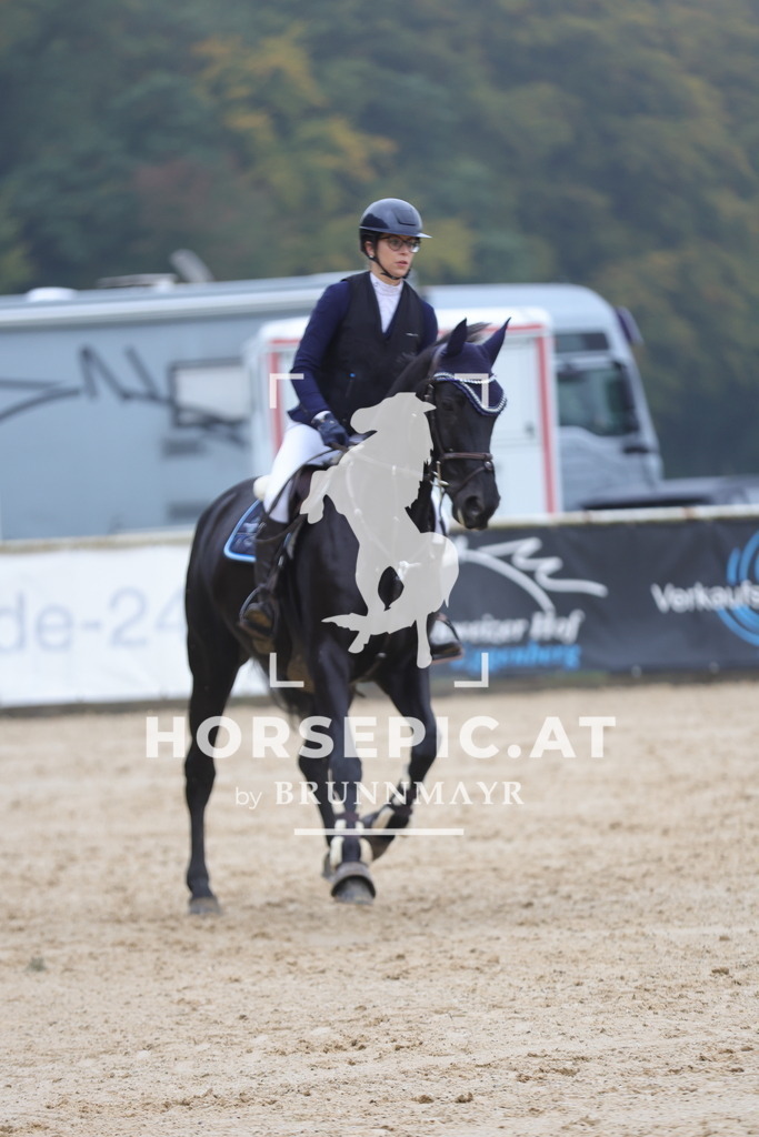 0P6A0693 | Willkommen bei Brunnmayr - Design & Fotografie – Ihrem Spezialisten für Reitturniere und Pferdeveranstaltungen in Oberösterreich, Salzburg und Bayern! Seit über 17 Jahren sind wir leidenschaftlich dabei.