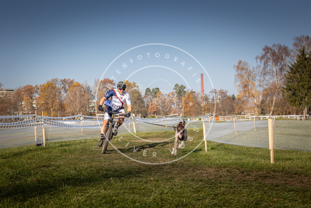 CaniXpix_0L8A6957 | Hundefotografie, Tierfotograf, Pfotenfotografie, Fotoshooting Hund, Hunde Portrait, Hundesport, Hundeportraits, Heideshooting, Hunde, Sportfotograf, Hundefotograf, Turnierhundsport, THS,  - Realisiert mit Pictrs.com