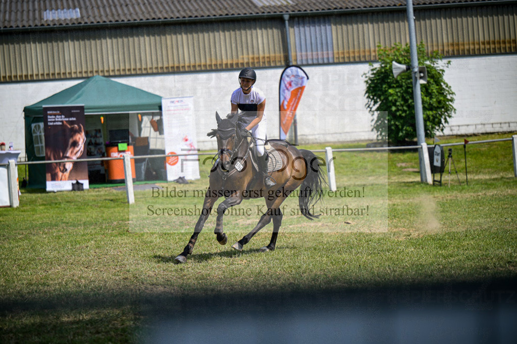 Reitturnier Voxtrup | Entdecke hochwertige Reitturnierfotos von Foto Oger. Professionell, emotional und authentisch – jetzt Lieblingsmomente im Shop bestellen.Deutschlandweite Turnierfotografie. - Realisiert mit Pictrs.com