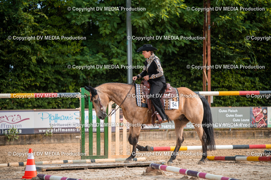 ZS3_9125 | dv-media-shop - Realisiert mit Pictrs.com