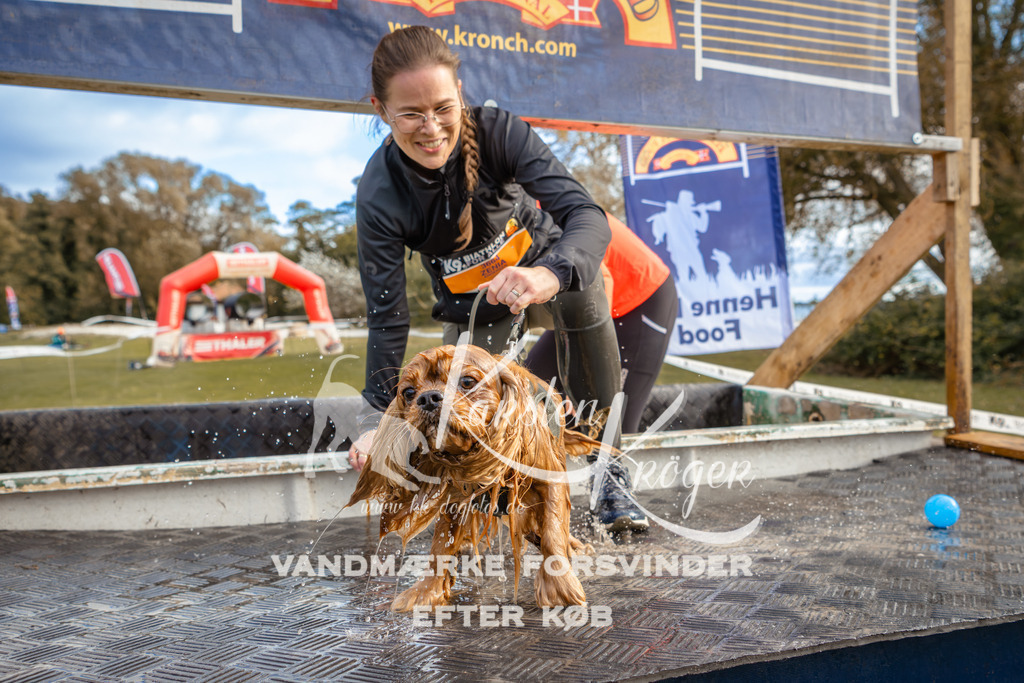 1527_ZZ96794 | kk-dogfotos