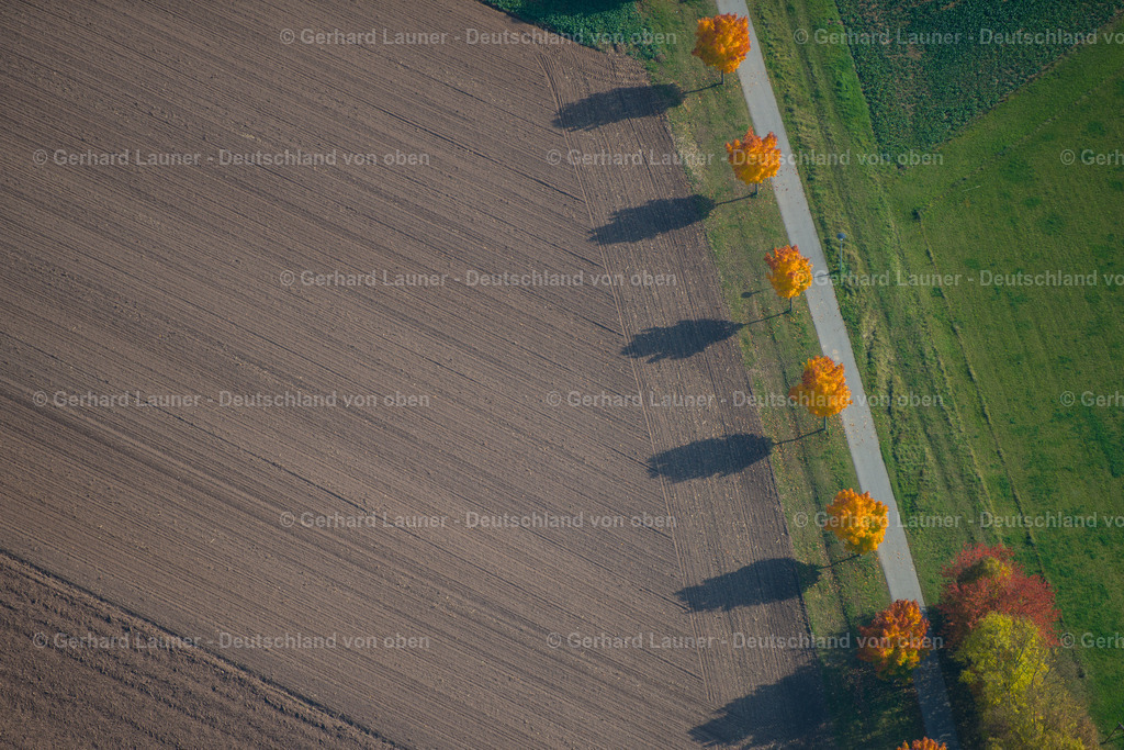 3294470 | Baumallee bei Thundorf