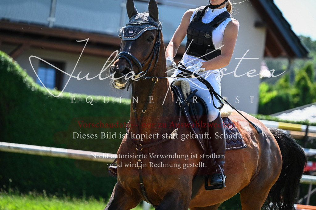 DSC_1073 | Pferde- und Turnierfotografie in Westsachsen. Pferdeportraits, Auftragszeichnungen und intuitive Kunst.