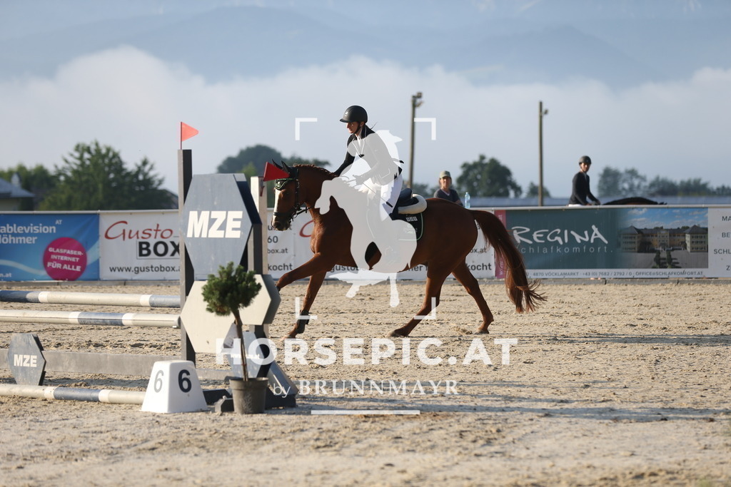 DL2Q8583 | Willkommen bei Brunnmayr - Design & Fotografie – Ihrem Spezialisten für Reitturniere und Pferdeveranstaltungen in Oberösterreich, Salzburg und Bayern! Seit über 17 Jahren sind wir leidenschaftlich dabei.