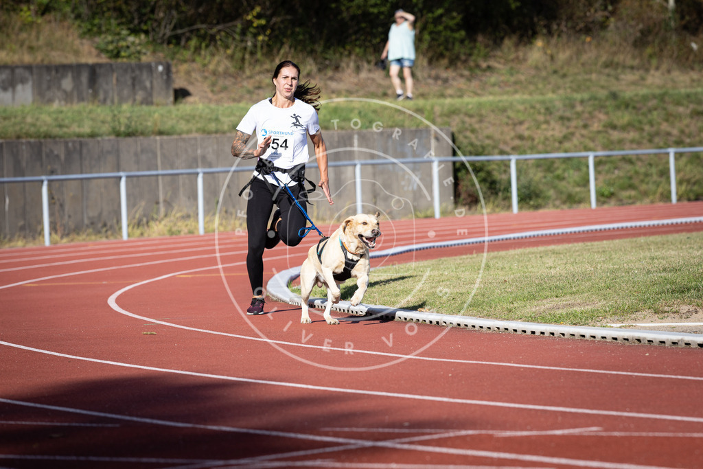 Pfotenfotografie_DV3A9858 | Hundefotografie, Tierfotograf, Pfotenfotografie, Fotoshooting Hund, Hunde Portrait, Hundesport, Hundeportraits, Heideshooting, Hunde, Sportfotograf, Hundefotograf, Turnierhundsport, THS,  - Realisiert mit Pictrs.com