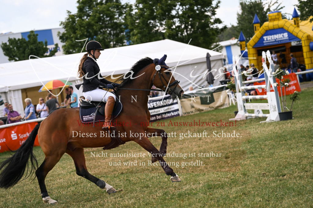 DSC_0896 | Pferde- und Turnierfotografie in Westsachsen. Pferdeportraits, Auftragszeichnungen und intuitive Kunst.