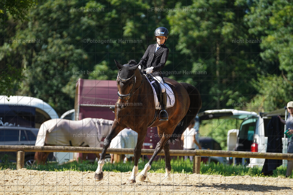20240706-FAH04803 | Grafing Turnierfotos, Reitverein Ebersberg, Turnierfotografen Bayern, reitsportbilder, Pferdefotograf, reitsportfotograf, Sportbilder, Reitsportfotografie, Fotoagentur Herrmann, Turnierfotograf