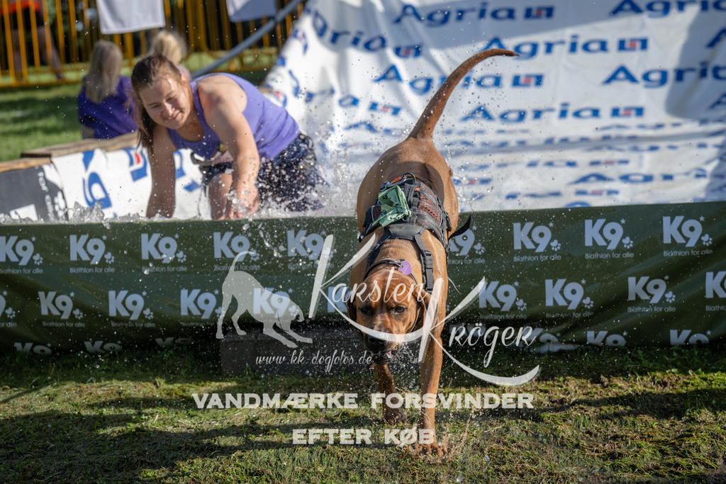 0928_ZZ95737 | kk-dogfotos