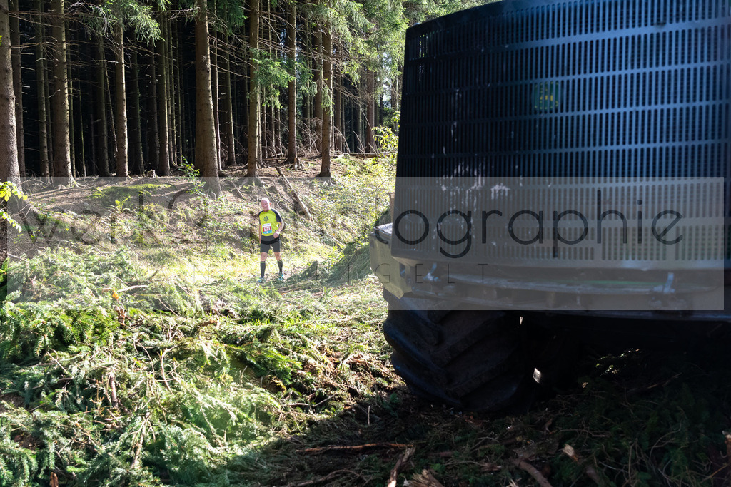 Rennsteiglauf 2021 | Marathon Neuhaus/Rwg. - Schmiedefeld