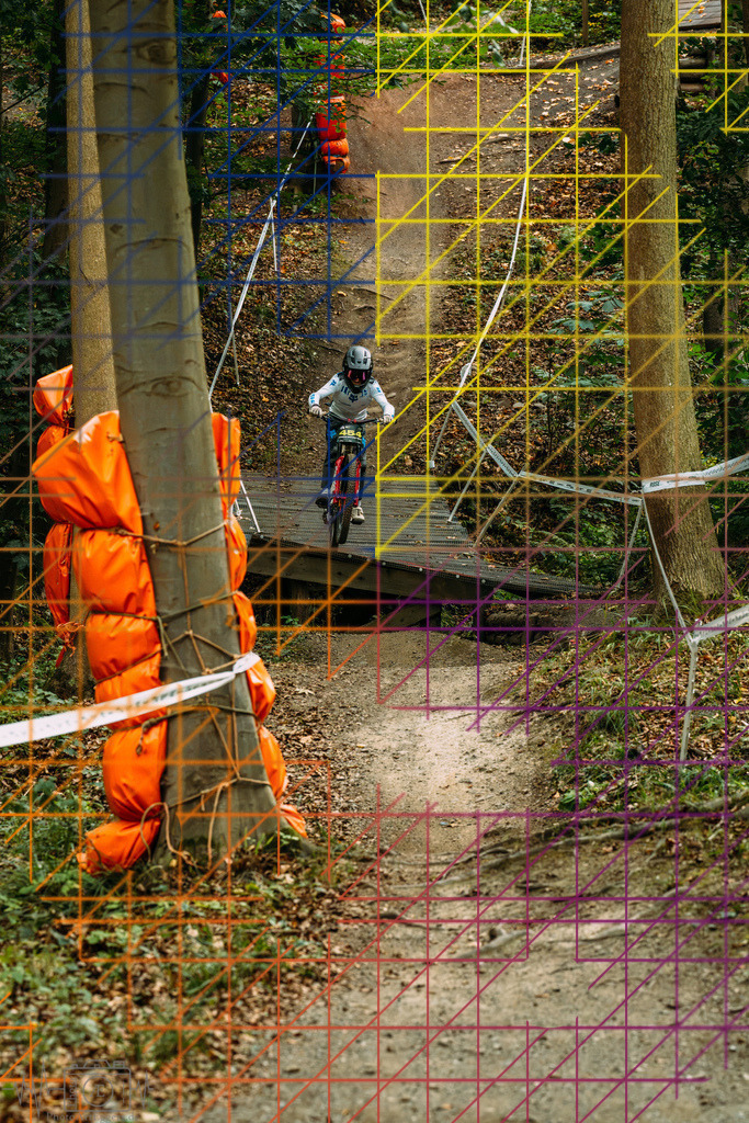 PAE-0490 | Einzigartige Fotokunst für dein Zuhause: Entdecke hochwertige Wandbilder, edle Prints und emotionale Motive von Wildlife, Natur und Landschaften - Realisiert mit Pictrs.com