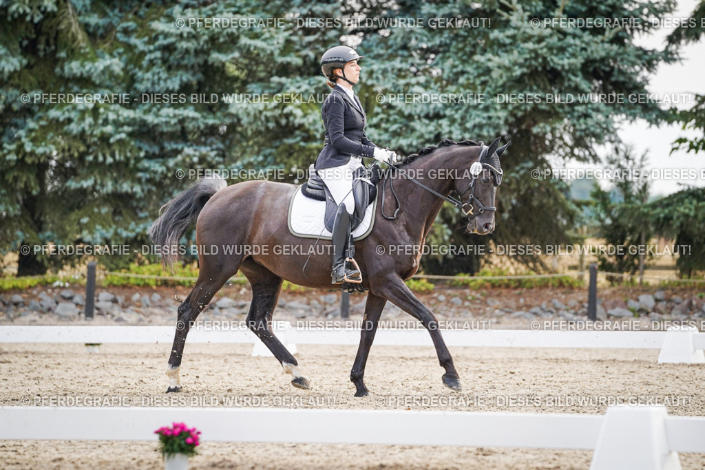 DSC00508 | Pferdegrafie