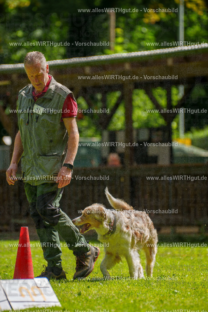 @allesWIRTHgut_Tierfotografie - www.allesWIRTHgut.de - 100055-7R507948 | Professionelle Tierfotografie in Mönchengladbach von Daniel Wirth (allesWIRTHgut). Liebevolle & natürliche Bilder von Hunden & Katzen für unvergessliche Erinnerungen.
