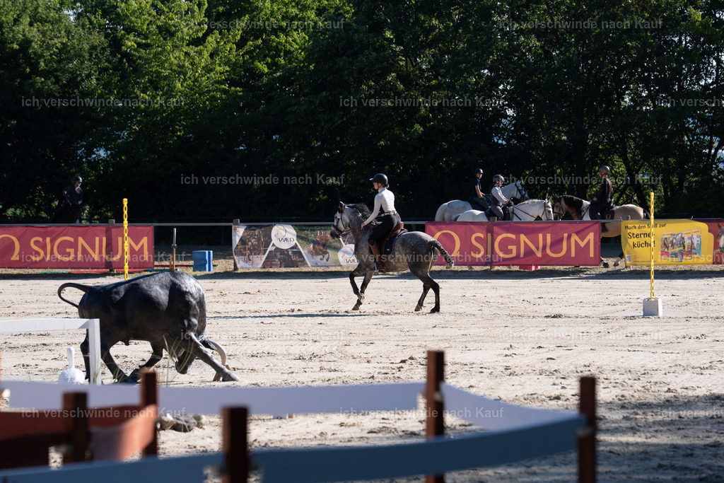 WL_SP_6_SinaFilmArt_IN05571 | working equitationturnier fotograf videograf stoibphotography marixx film working equitation deutschland reitsport turnierfotografie eventfotografie equestrian events