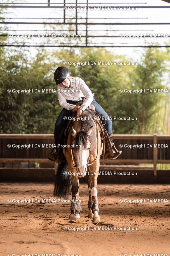 Erbach Tag 2-740 | dv-media-shop - Realisiert mit Pictrs.com