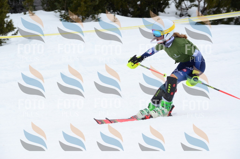 I6503 | holidayphoto