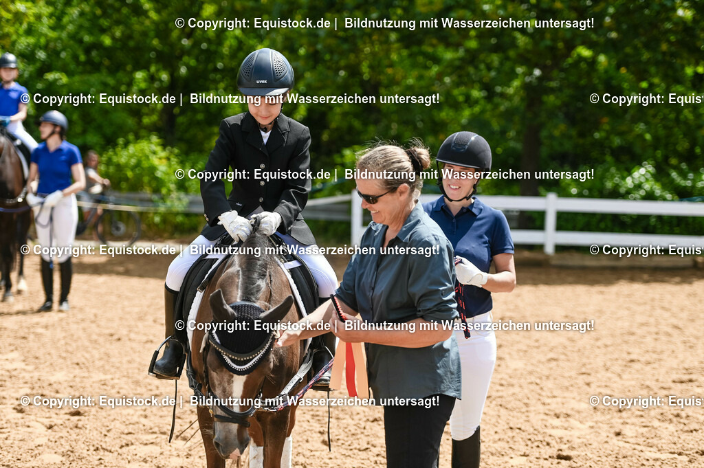 20230716_11_Führzügel-WB_0103 | equistock