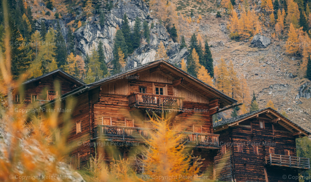 Oberstalleralm_Herbst_2023-375 | piet_flosse