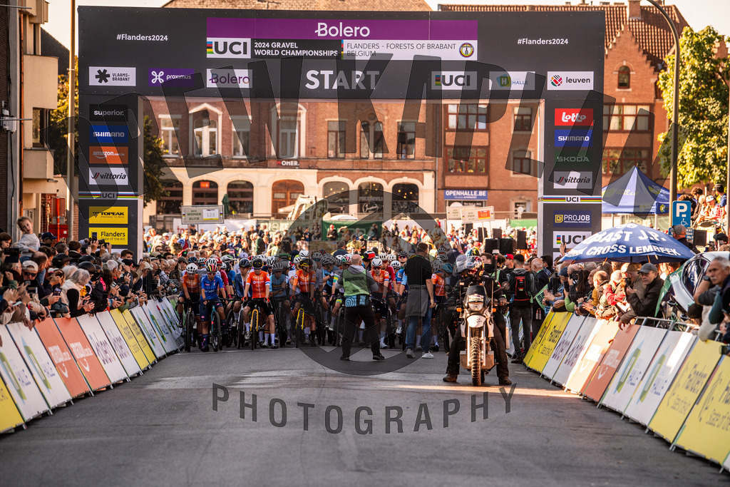 DKP-7274 | Drew Kaplan Photography