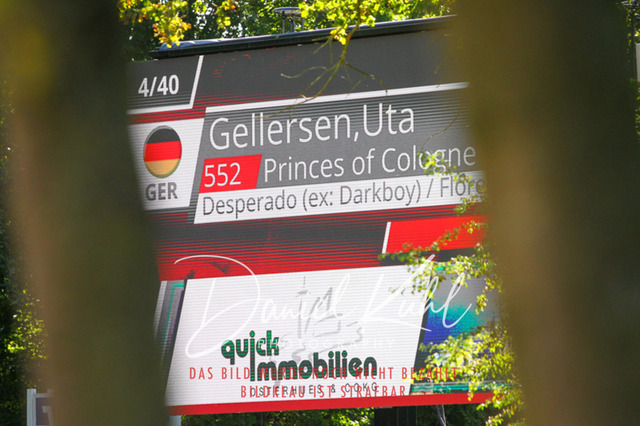 DKP42910 | Turniersportfotografie; Pferdefotografie; Dressurfotografie