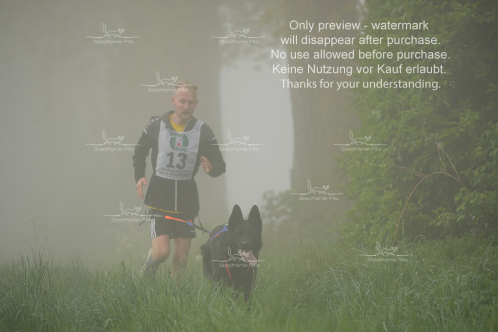 SA_GL2-71 | stephaniefillaphotographie - Realisiert mit Pictrs.com