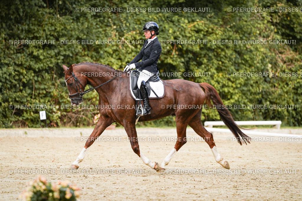 DSC02683 | Pferdegrafie