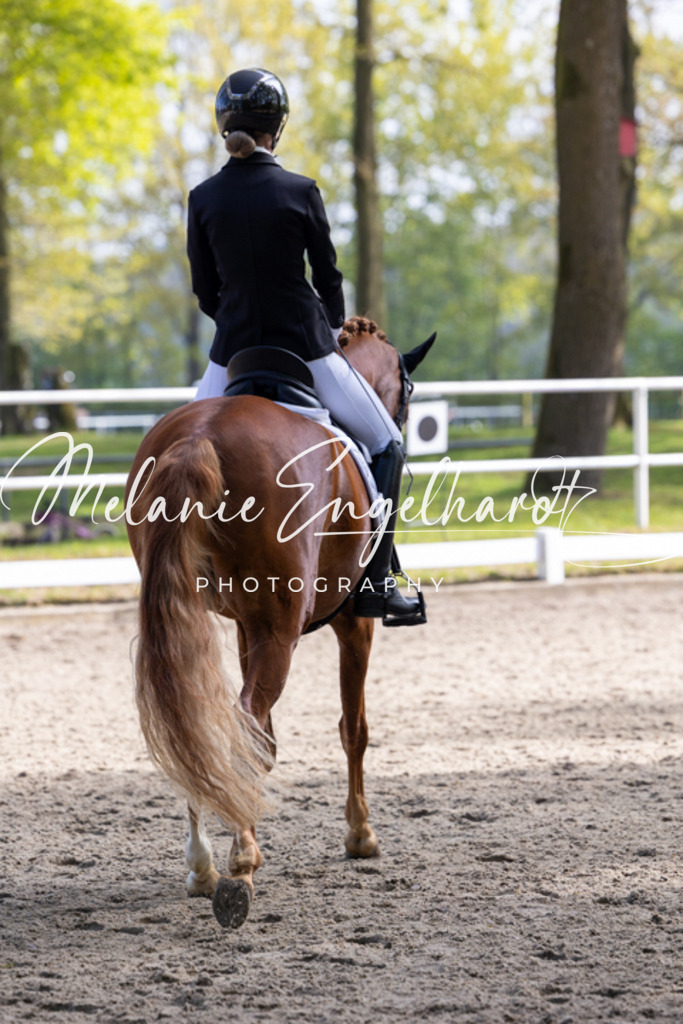 7I8A1099 | melanie-engelhardt-photography - Realisiert mit Pictrs.com