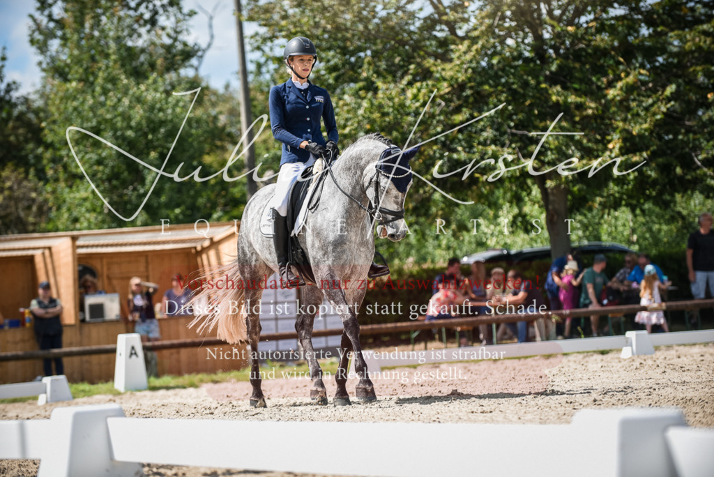 DSC_9257 | Pferde- und Turnierfotografie in Westsachsen. Pferdeportraits, Auftragszeichnungen und intuitive Kunst.