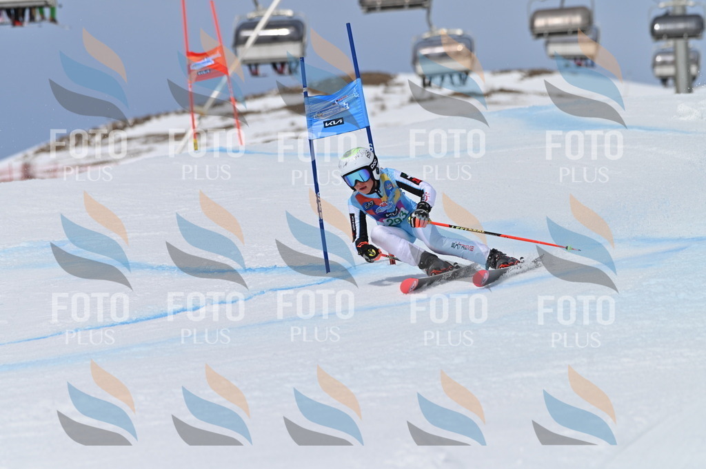 BGV_5851 | holidayphoto