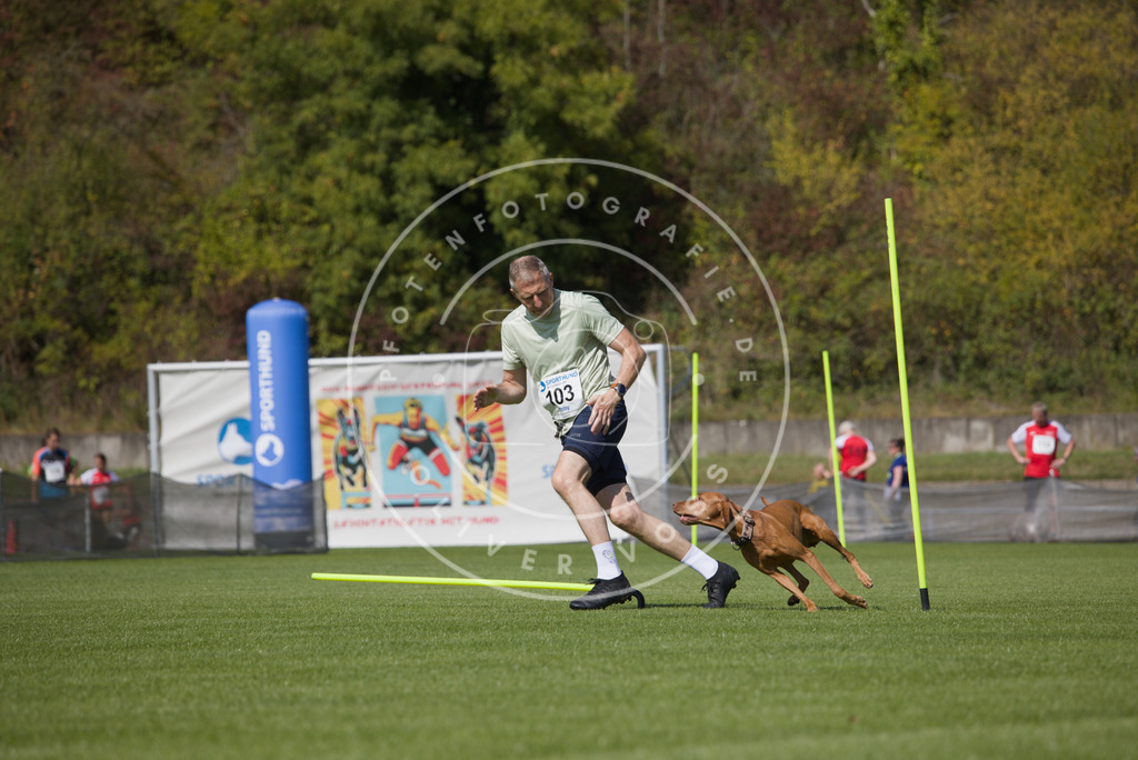 0L8A2604 | Hundefotografie, Tierfotograf, Pfotenfotografie, Fotoshooting Hund, Hunde Portrait, Hundesport, Hundeportraits, Heideshooting, Hunde, Sportfotograf, Hundefotograf, Turnierhundsport, THS,  - Realisiert mit Pictrs.com