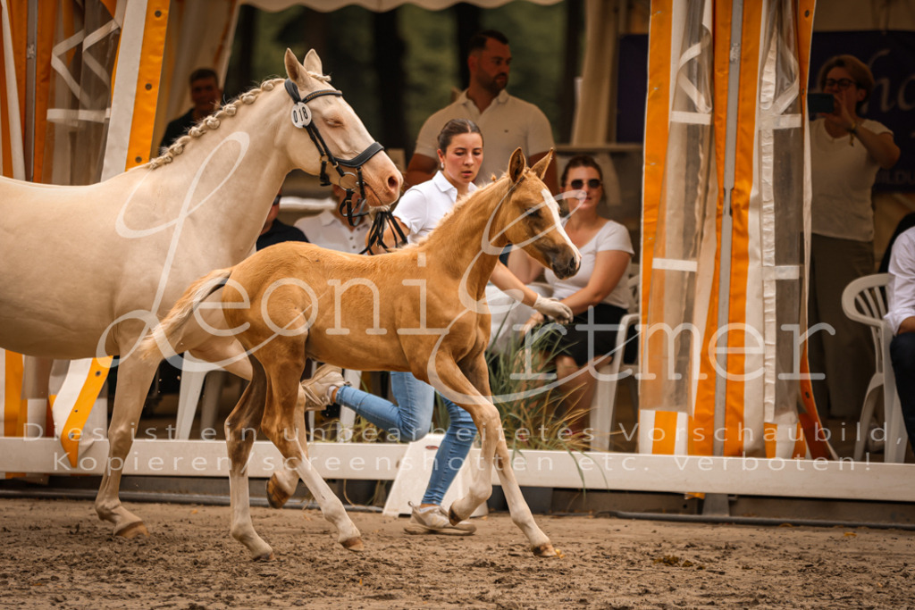 SaPA00260 | Leoni Ertmer Photography - Realisiert mit Pictrs.com