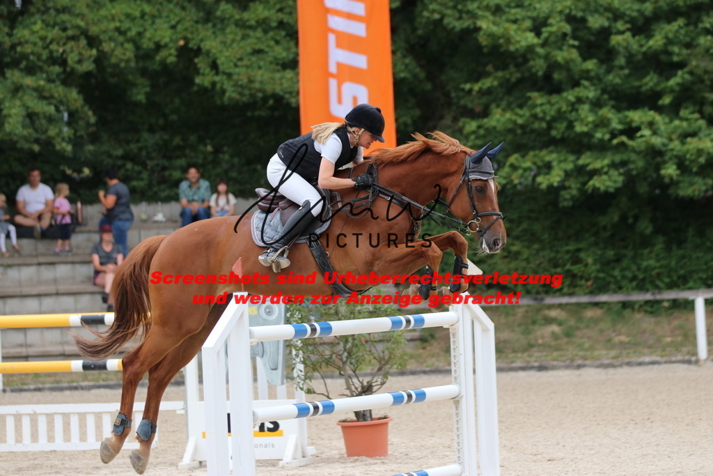 IMG_2687 | lmwpictures - Realisiert mit Pictrs.com