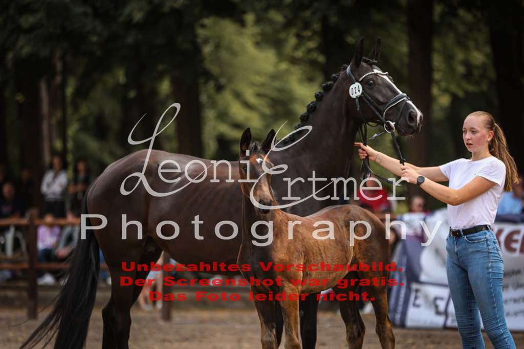 SaFohlen00212 | Leoni Ertmer Photography - Realisiert mit Pictrs.com