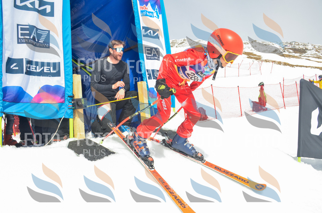 _ELE8055 | holidayphoto