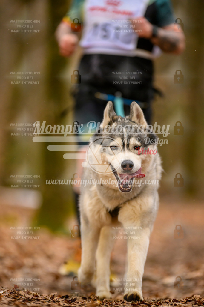 MompixPhotography_Habay2025_SA_CCC-305 | PayLife