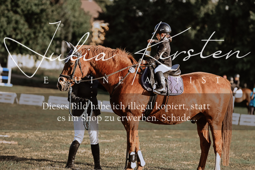 DSC_0184 | Pferde- und Turnierfotografie in Westsachsen. Pferdeportraits, Auftragszeichnungen und intuitive Kunst.