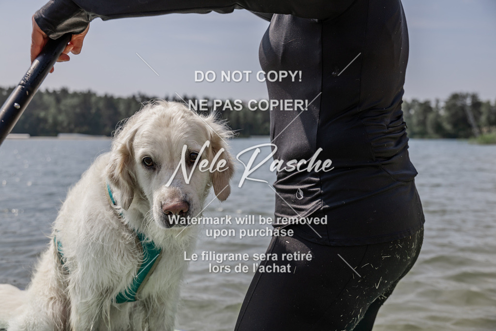 BUHU_SUP_677 | nelerasche