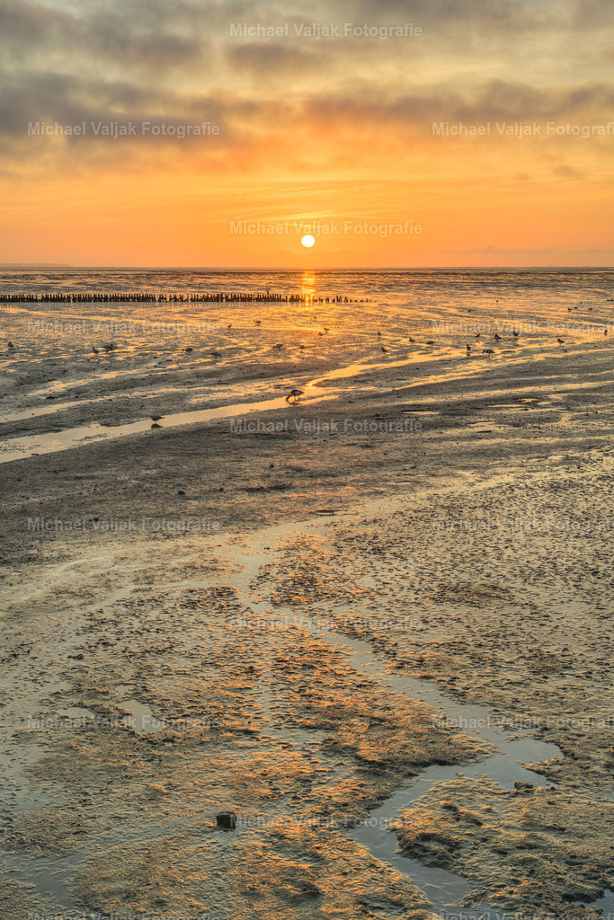 Sonnenaufgang im Wattenmeer auf Amrum | Der Sonnenaufgang im Wattenmeer auf Amrum ist ein Naturschauspiel, das in seiner Schönheit einzigartig ist. Wenn das Wasser sich zurückzieht, offenbart sich eine weite Landschaft aus Sandbänken und Prielen, die im ersten Licht des Tages zu leuchten beginnt. Die Farben des Himmels spiegeln sich in den verbleibenden Wasserflächen und schaffen ein dynamisches Panorama, das jeden Betrachter in seinen Bann zieht. Dieses Schauspiel bei Niedrigwasser zu beobachten, ist ein Erlebnis, das man nicht so schnell vergisst. - Realisiert mit Pictrs.com