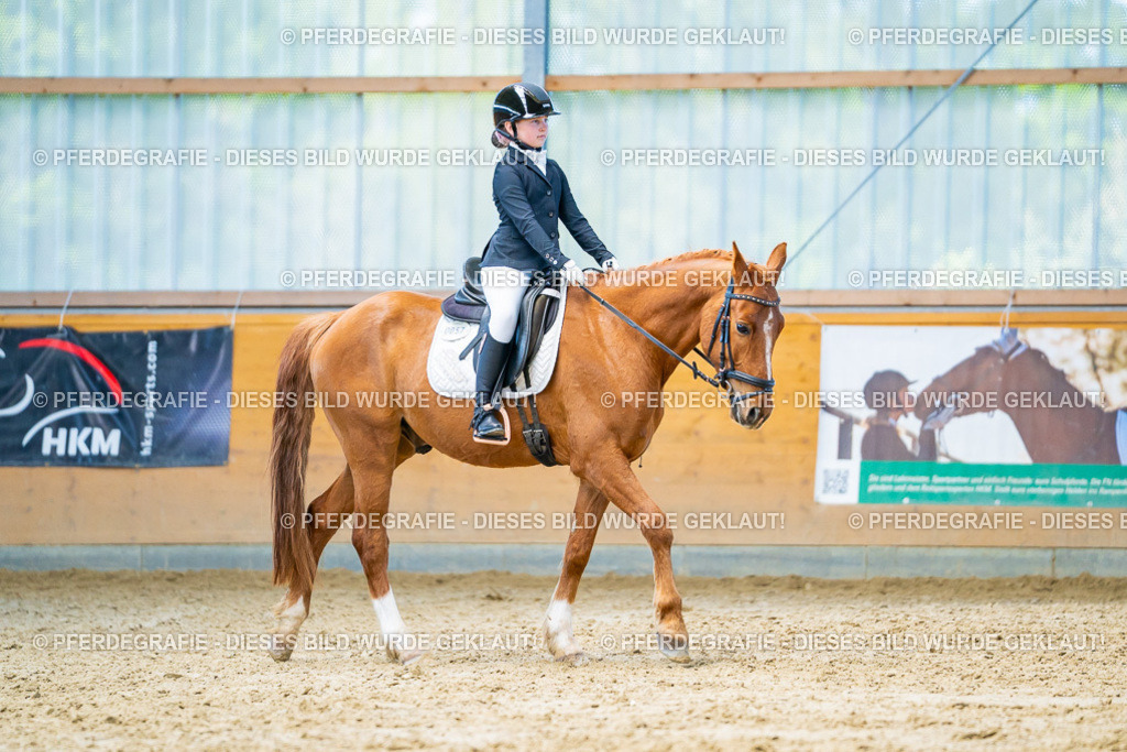 DSC08327 | Pferdegrafie