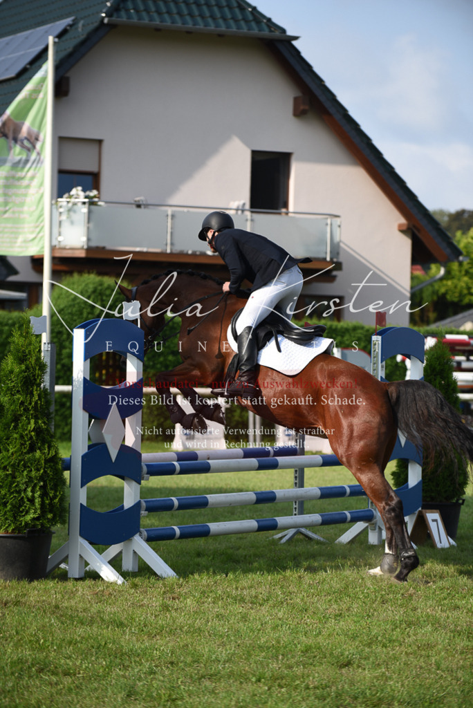 DSC_8726 | Pferde- und Turnierfotografie in Westsachsen. Pferdeportraits, Auftragszeichnungen und intuitive Kunst.