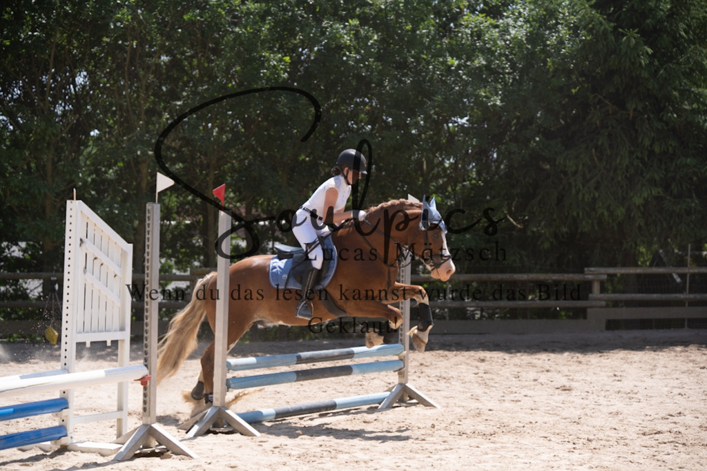 A7V08388 | Pferdefotograf